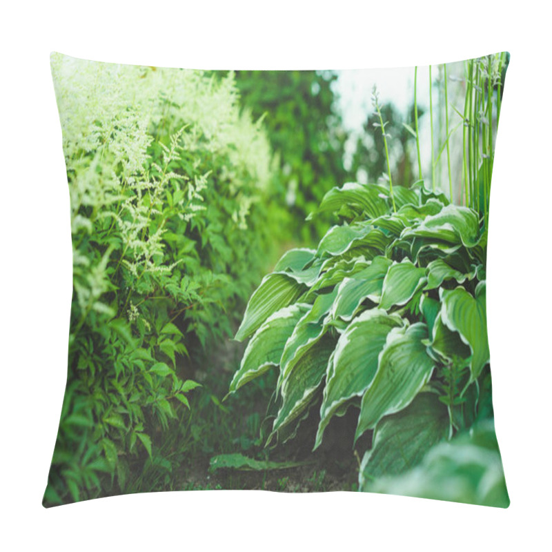 Personality  A Green Garden. Parsley Pillow Covers