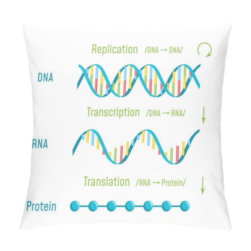 Personality  DNA Replication, Transcription And Translation Pillow Covers