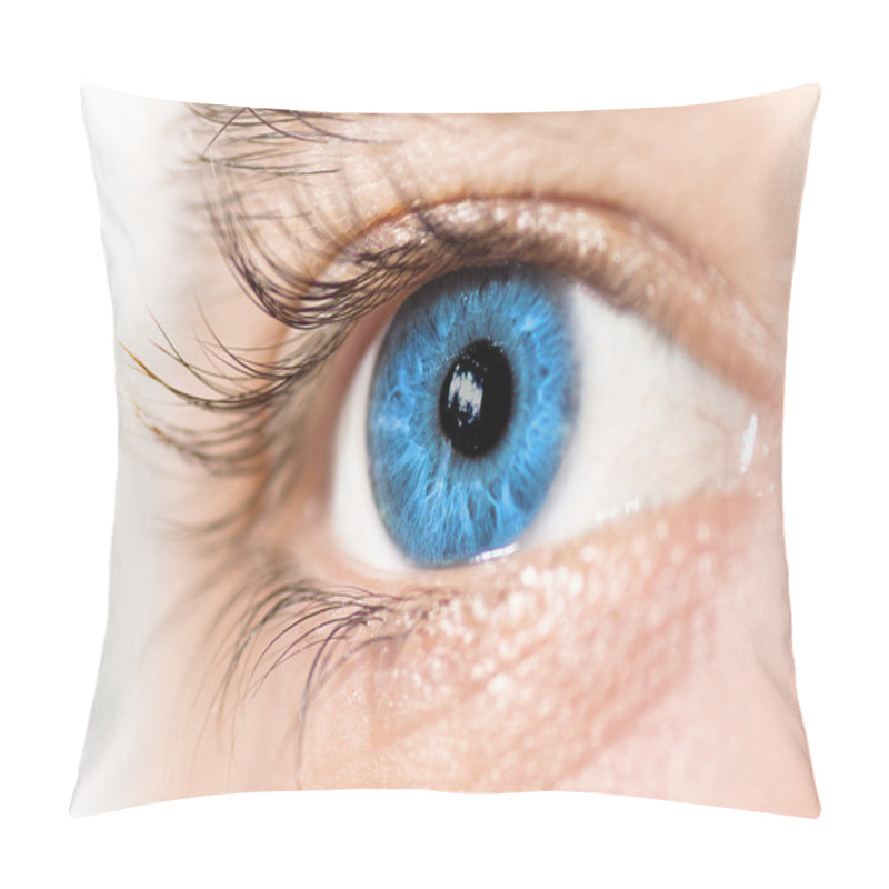 Personality  Blue Eye Macro Pillow Covers