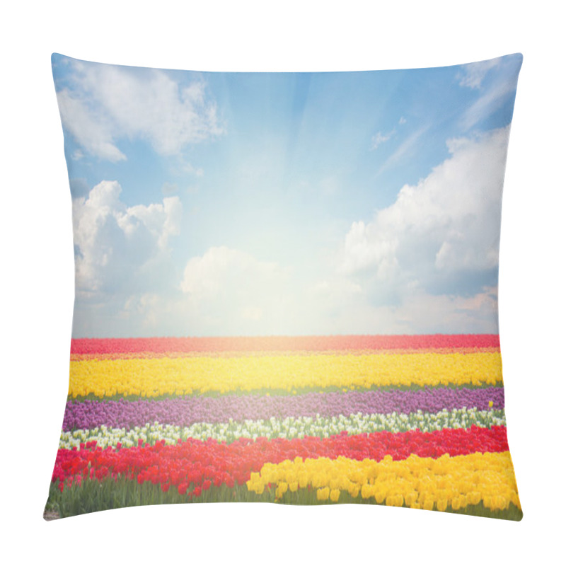 Personality  Dutch Yellow Tulip Fields In Sunny Day Pillow Covers