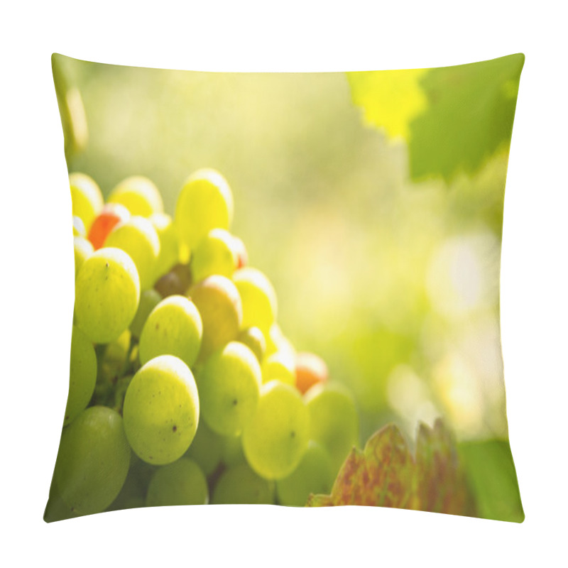 Personality  Green Grapes In Sunset Light Pillow Covers