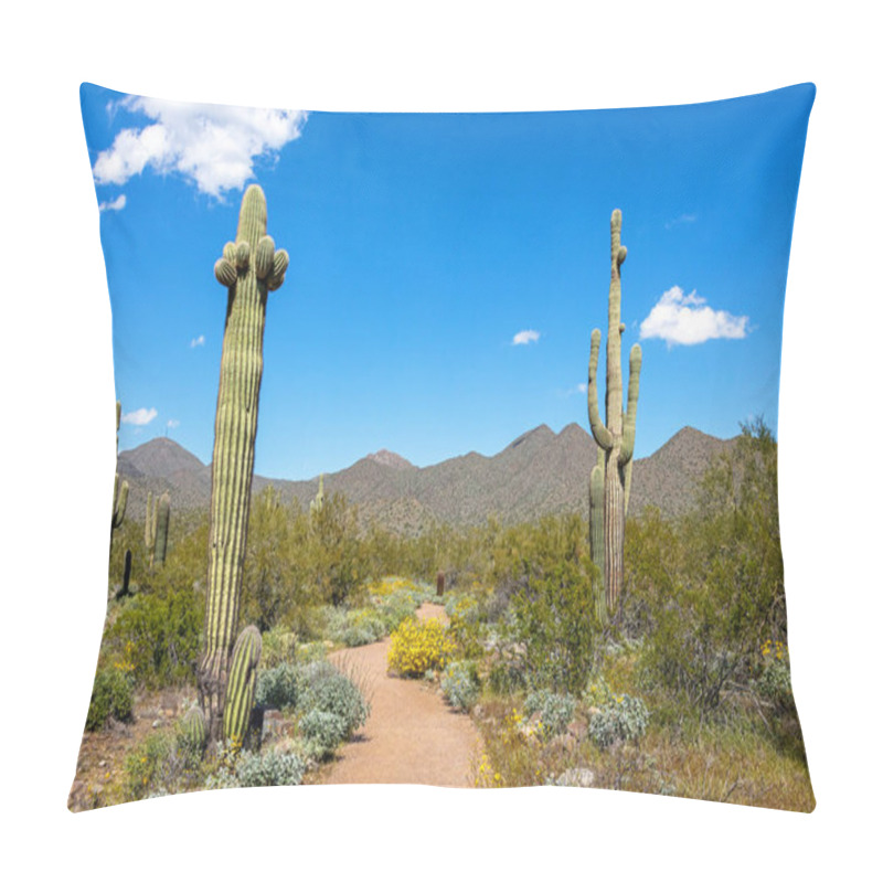 Personality  Hiking Trail Winding Through McDowell Mountain Regional Park In Scottsdale, Arizona Desert In Springtime Pillow Covers