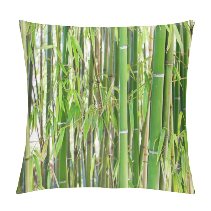 Personality  Green Bamboo Stems Pillow Covers