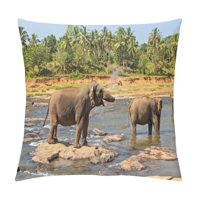 Personality  Elephant Herd In Jungle River Pillow Covers