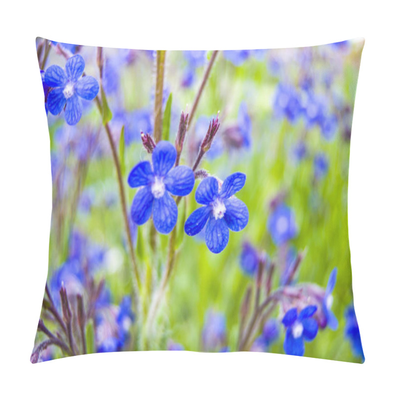 Personality  Borago (Anchusa) Plant Used In Alternative Medicine Field  Pillow Covers