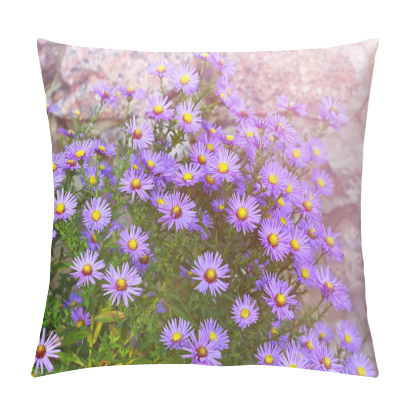 Personality  Aster Novi-belgii In Garden Flowerbed In Autumn  Pillow Covers