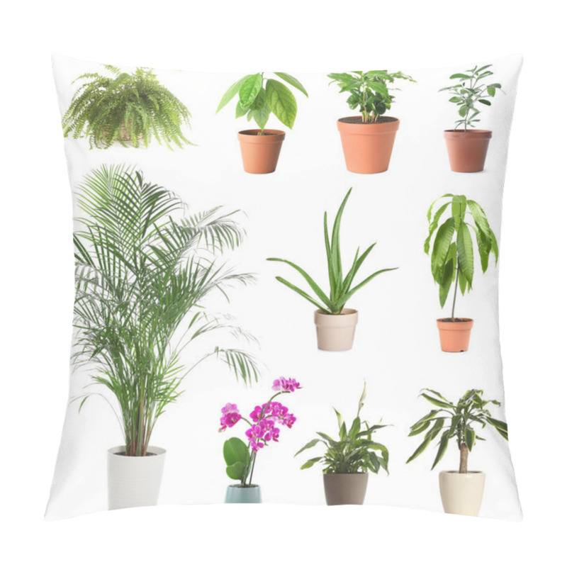 Personality  Set Of Different Houseplants In Flower Pots On White Background Pillow Covers