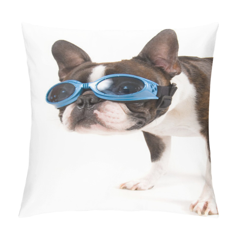 Personality  Boston Terrier With Goggles Pillow Covers