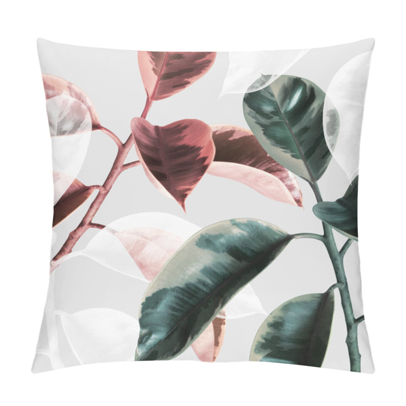 Personality  Transparent Effect On An Indian Rubber Plant Pillow Covers