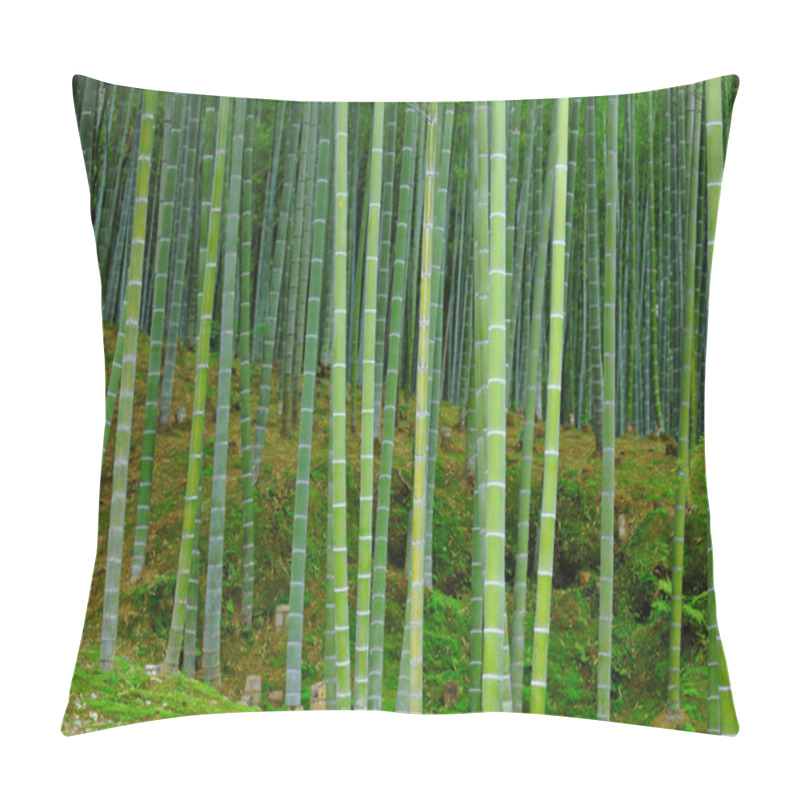 Personality  Green Bamboo Forest Pillow Covers