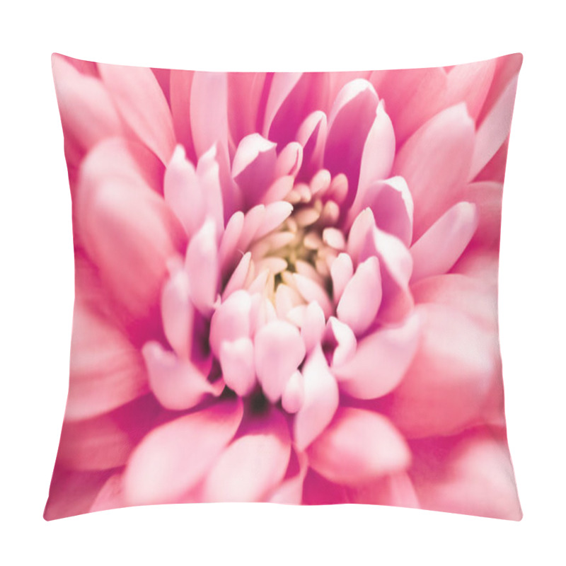 Personality  Coral Daisy Flower Petals In Bloom, Abstract Floral Blossom Art  Pillow Covers