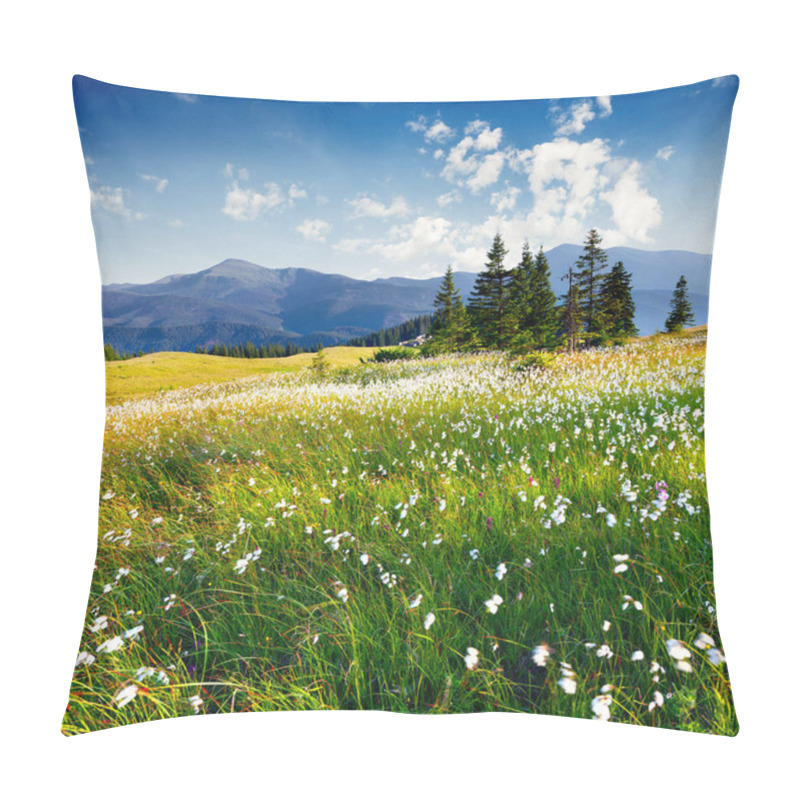 Personality  Colorful Summer Morning In The Carpathians. Splendid Outdoors Scene In The Mountains With A Field Of Blooming Feather Grass Flowers. Beauty Of Nature Concept Background Pillow Covers