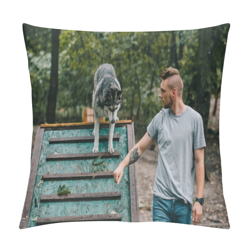 Personality  Cynologist With Husky On Dog Walk Obstacle In Agility Trial Pillow Covers