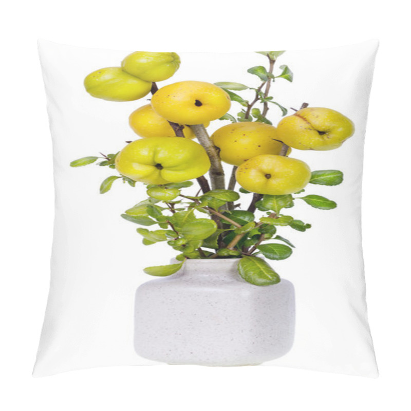 Personality  Minimalistic Bouquet- Japanese Quince Branches Pillow Covers