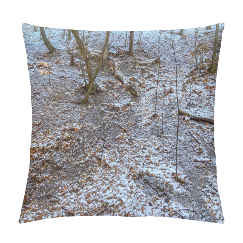 Personality  Image Depicts A Winter Outdoor Scene With Snow, Fallen Leaves Brown, Orange, Leafless Trees, And Natural Textures No Text Present Casual Photograph Style Lighting Suggests Dawndusk Or Overcast Pillow Covers