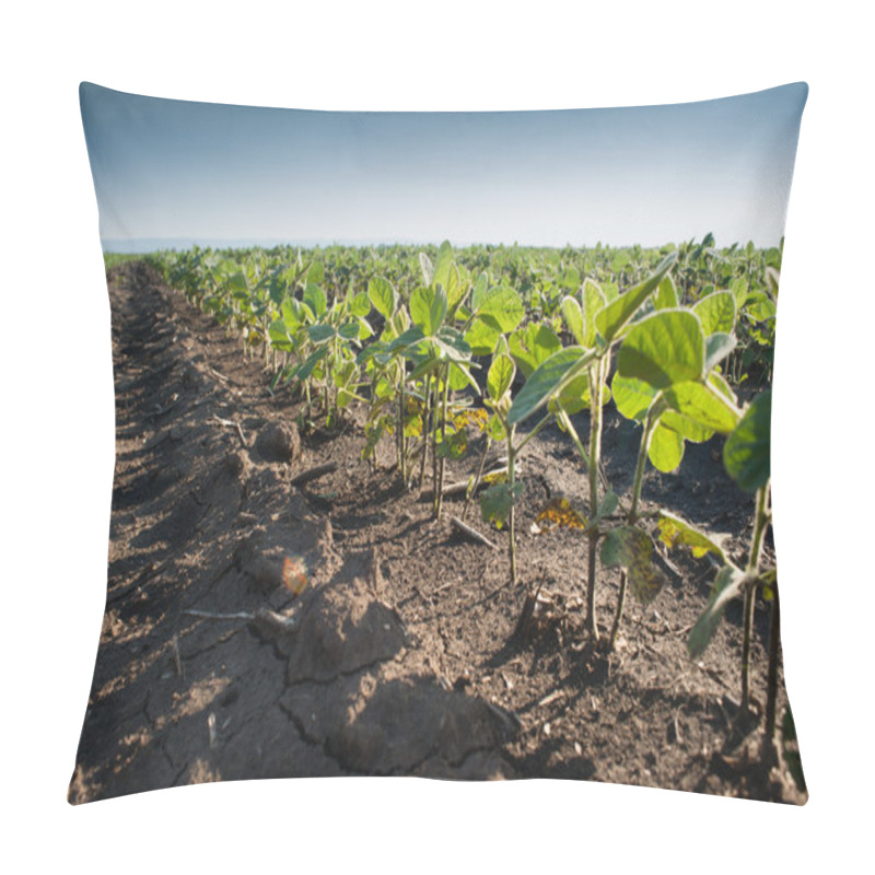 Personality  Soybean Field Pillow Covers