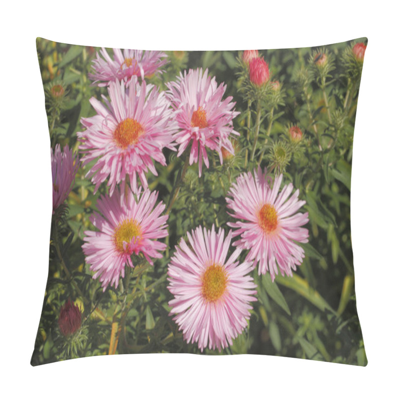 Personality  Blooming Asters Pillow Covers