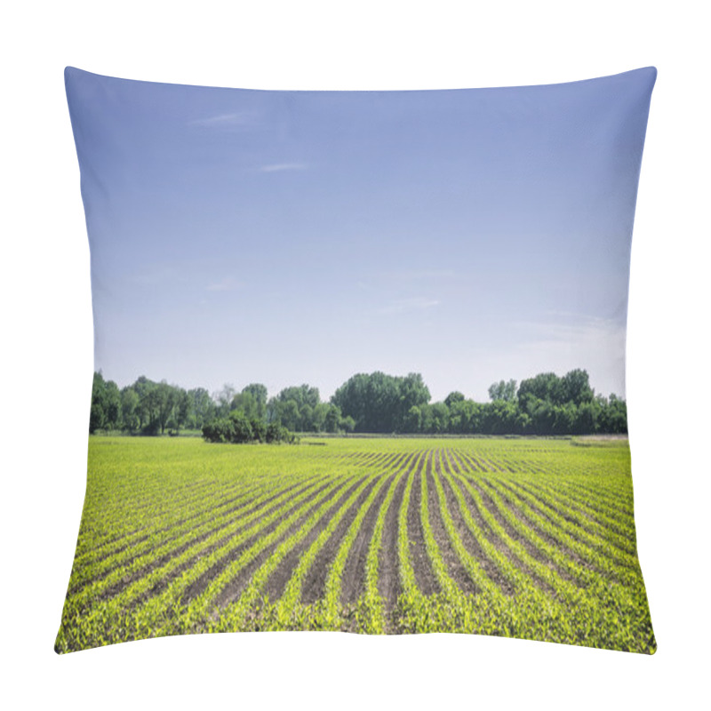 Personality  Organic Farm Land With Green Rows Pillow Covers