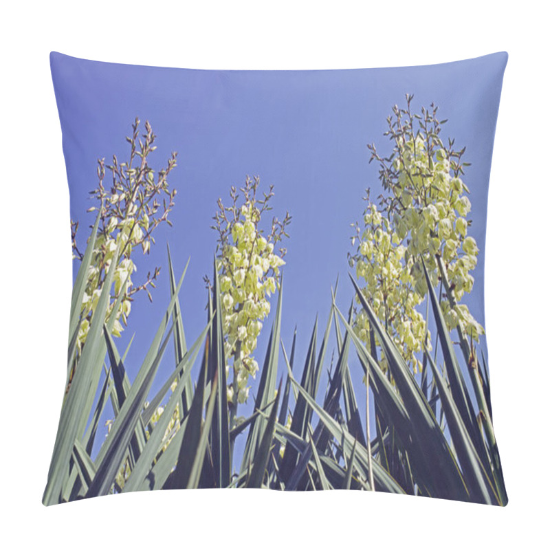 Personality  Moundlily Yucca In Blooming, Yucca Filamentosa, Agavaceae Pillow Covers