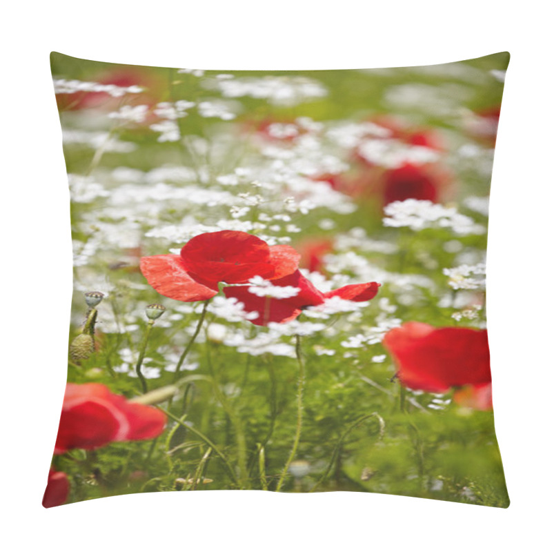 Personality  Red Poppies Field Pillow Covers