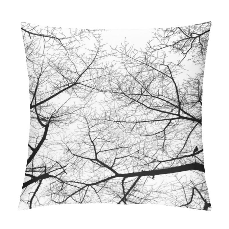 Personality  Silhouette Of Bare Tree Branches Against A Bright White Sky. Pillow Covers