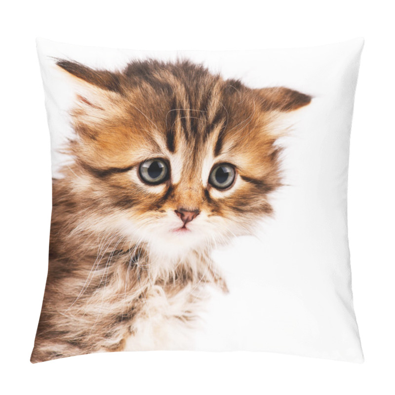 Personality  Cute Kitten Pillow Covers