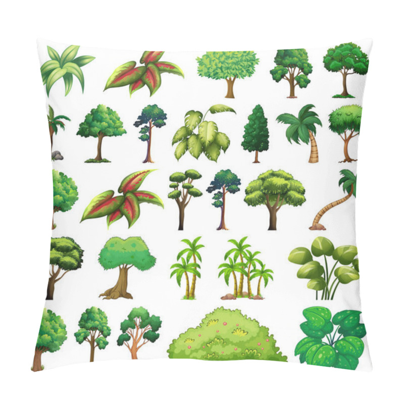 Personality  Set Of Variety Plants And Trees Illustration Pillow Covers