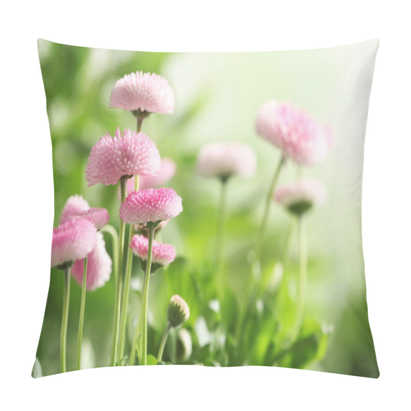 Personality  Beautiful Blooming Daisies Against Blurred Background, Space For Text. Spring Flowers Pillow Covers