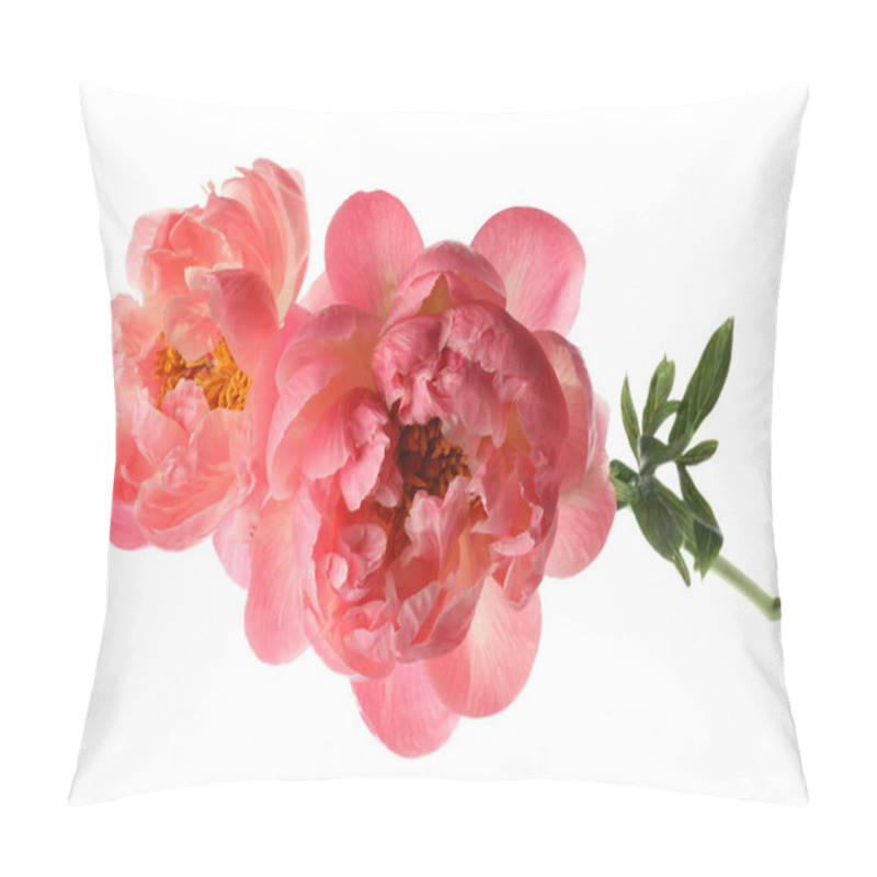 Personality  Beautiful Blooming Pink Peonies Isolated On White Pillow Covers