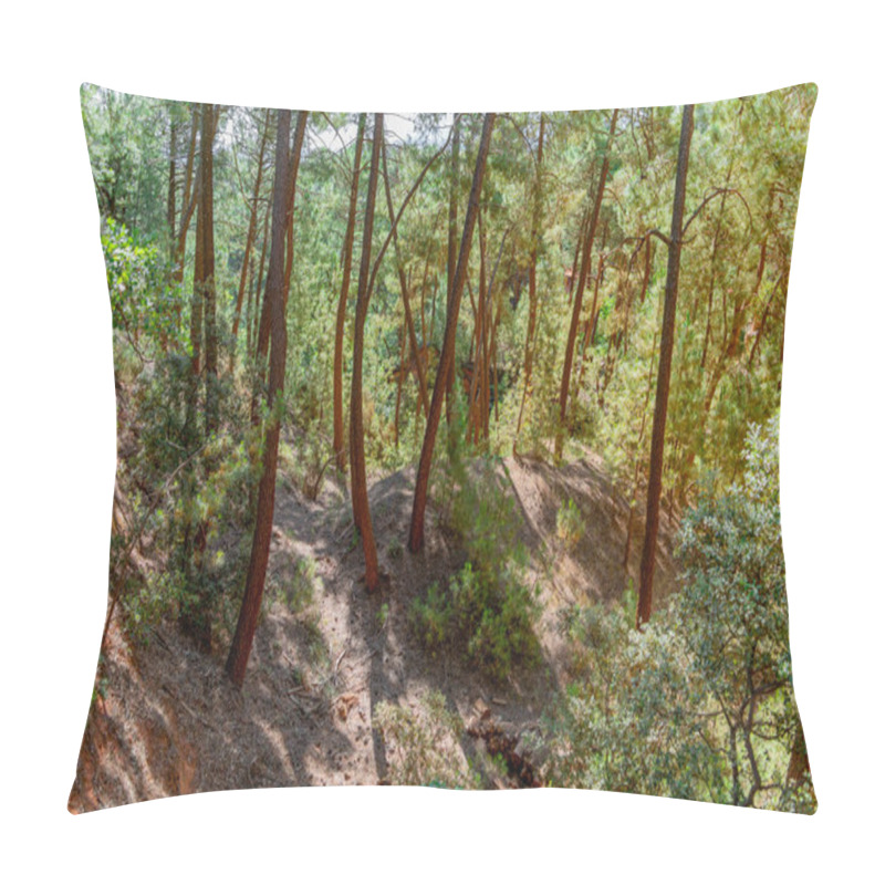 Personality  Impression Around The Ochre Path Near Roussillon, A Commune In The Vaucluse Department Of The Provence Region In Southern France Pillow Covers