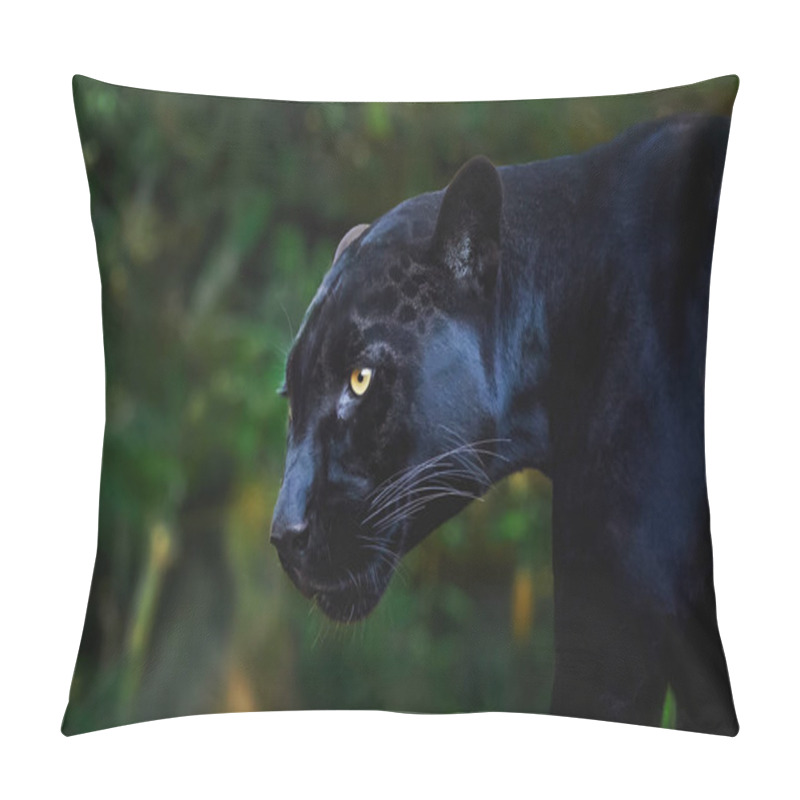 Personality  Black Jaguar (Panthera Onca) - Melanistic Feline Pillow Covers