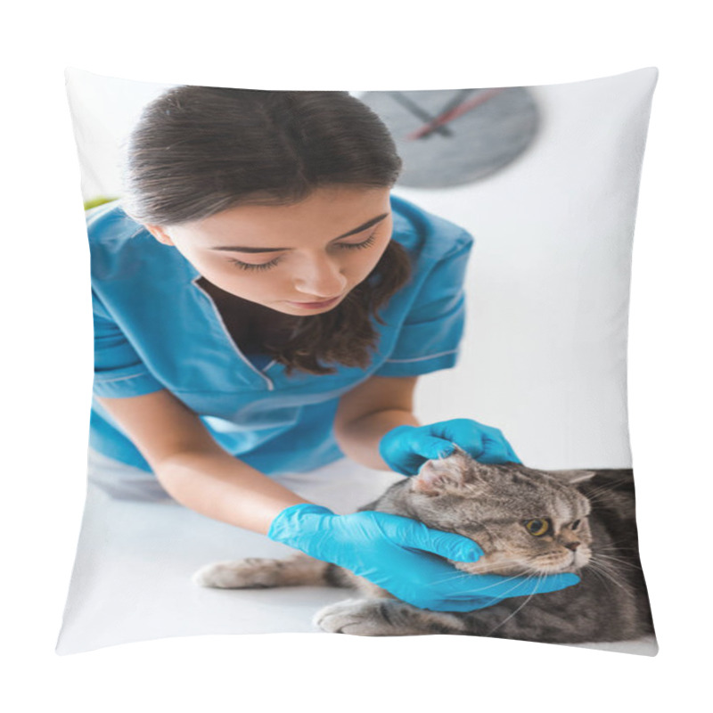 Personality  Young Veterinarian Examining Tabby Scottish Straight Cat On Table Pillow Covers