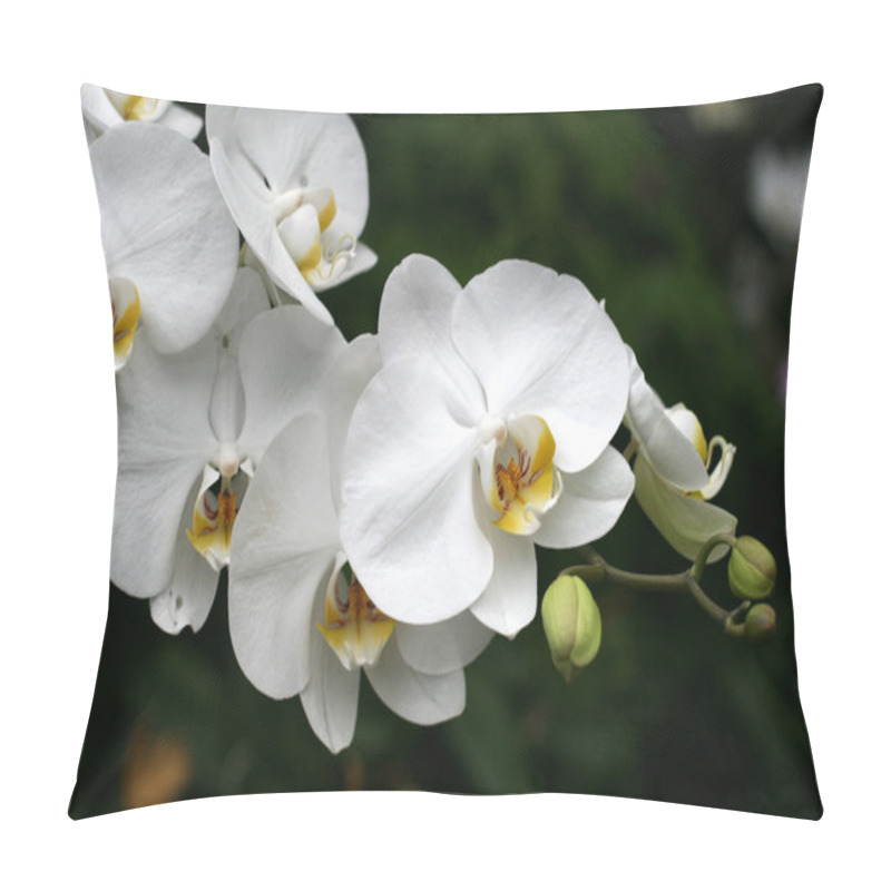 Personality  Orchids Pillow Covers