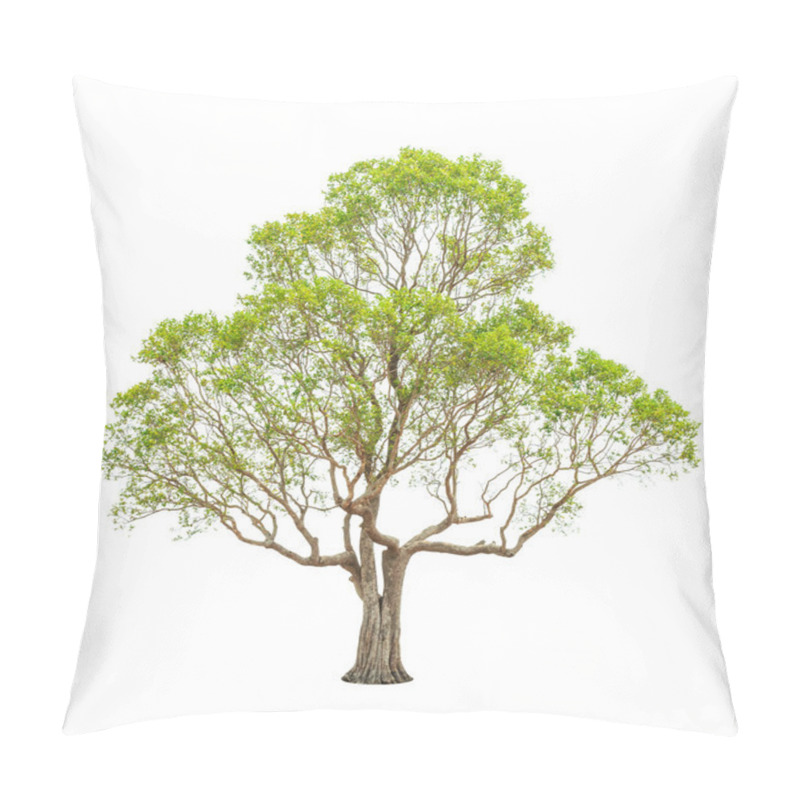 Personality  Irvingia Malayana Also Known As Wild Almond, Tropical Tree In Th Pillow Covers