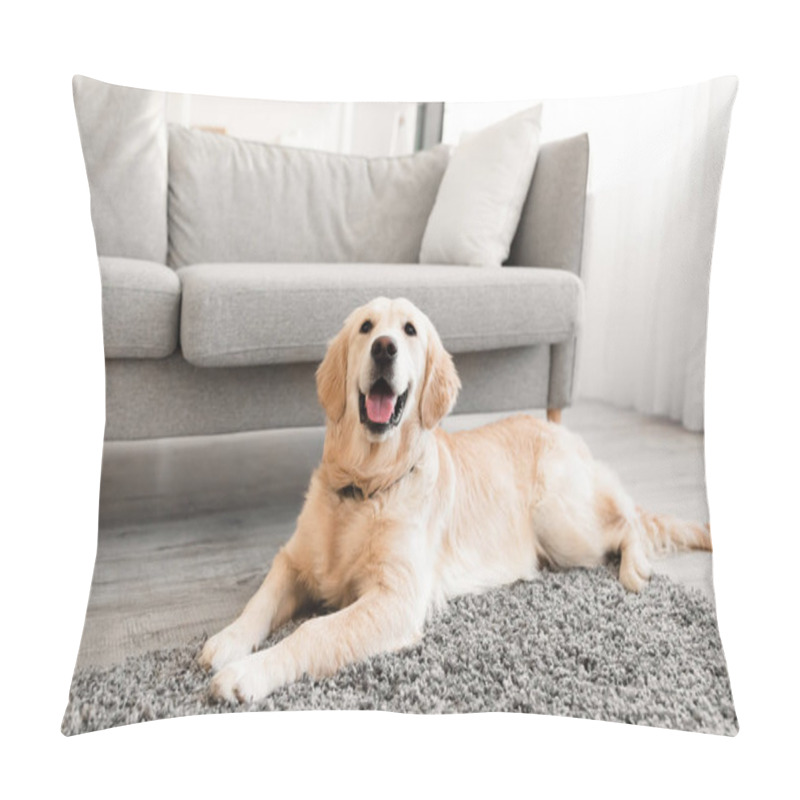 Personality  Portrait Of Cute Dog Lying On The Floor Pillow Covers