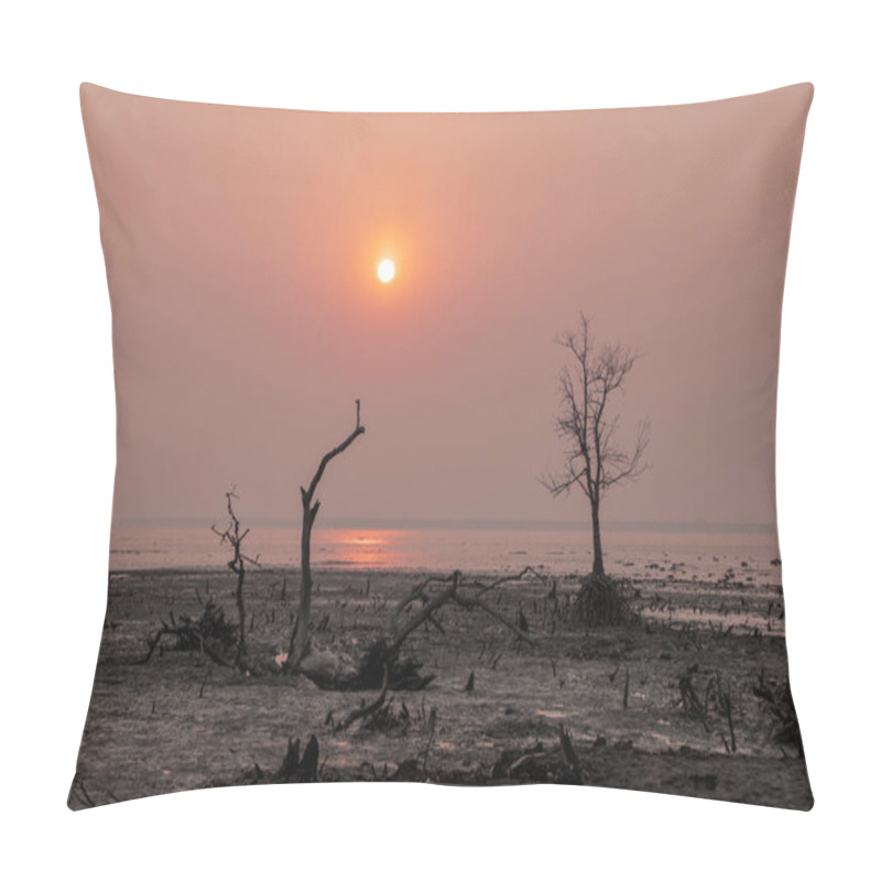 Personality  Sunset At Kotka Sea Beach.this Photo Was Taken From Sundarbans National Park,Bangladesh. Pillow Covers