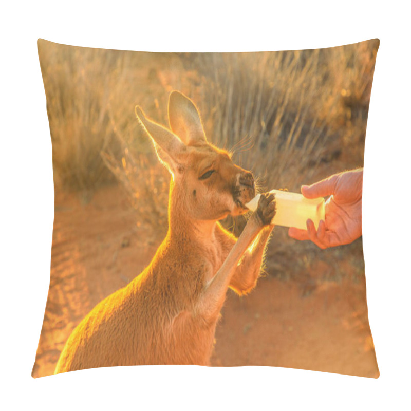 Personality  Kangaroo Bottle Feeding Pillow Covers