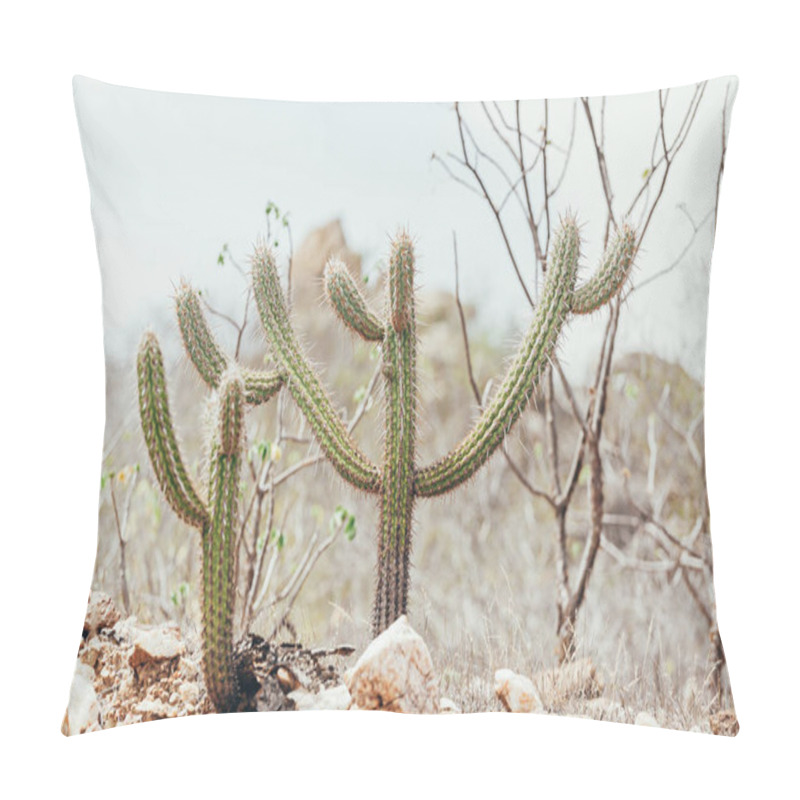 Personality  Landscape Of The Caatinga In Brazil. Cactus Known As Xique-xique Pillow Covers