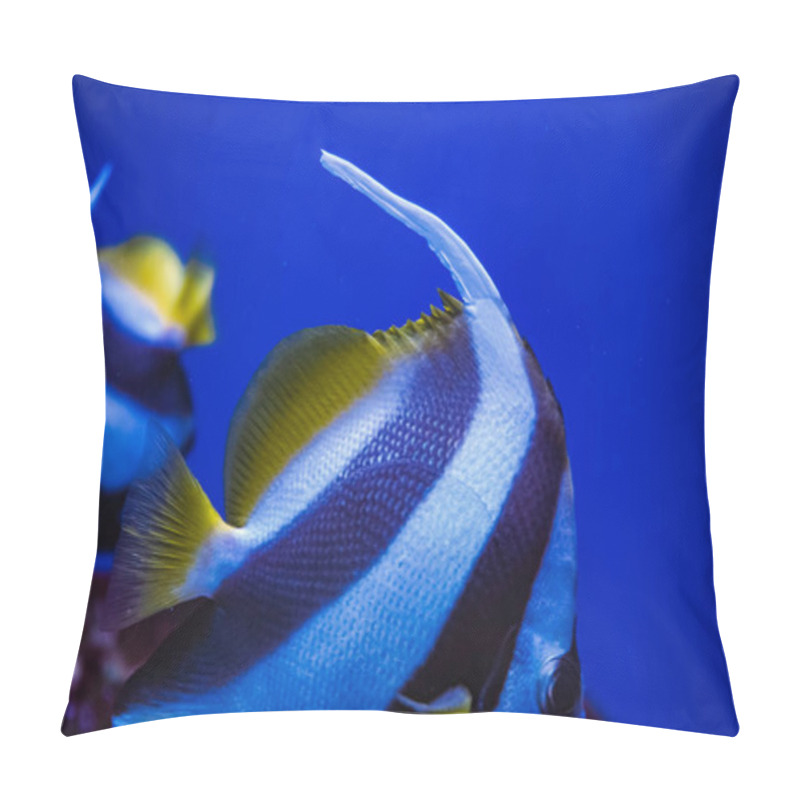 Personality  A Stunning Whitetip Reef Fish Swims Gracefully In Clear Water, Displaying Its Striking White And Black Stripes And Vibrant Yellow Fin In A Close-up View Pillow Covers