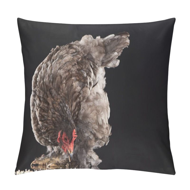 Personality  Brown Farm Hen Eating Millet On Black Pillow Covers