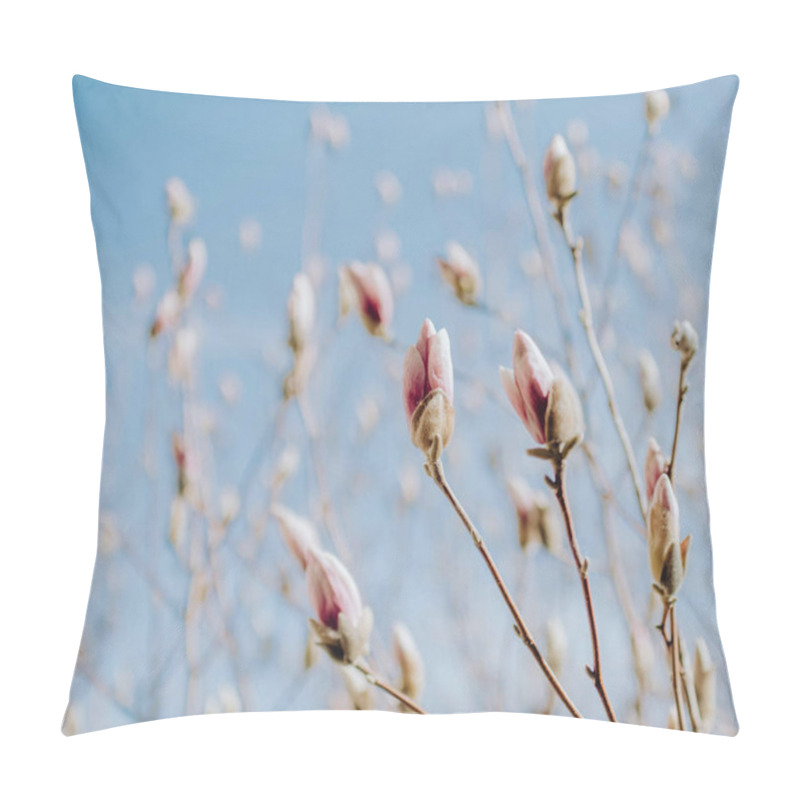 Personality  Delicate Magnolia Buds Ready To Bloom Against A Clear Blue Sky. Pillow Covers