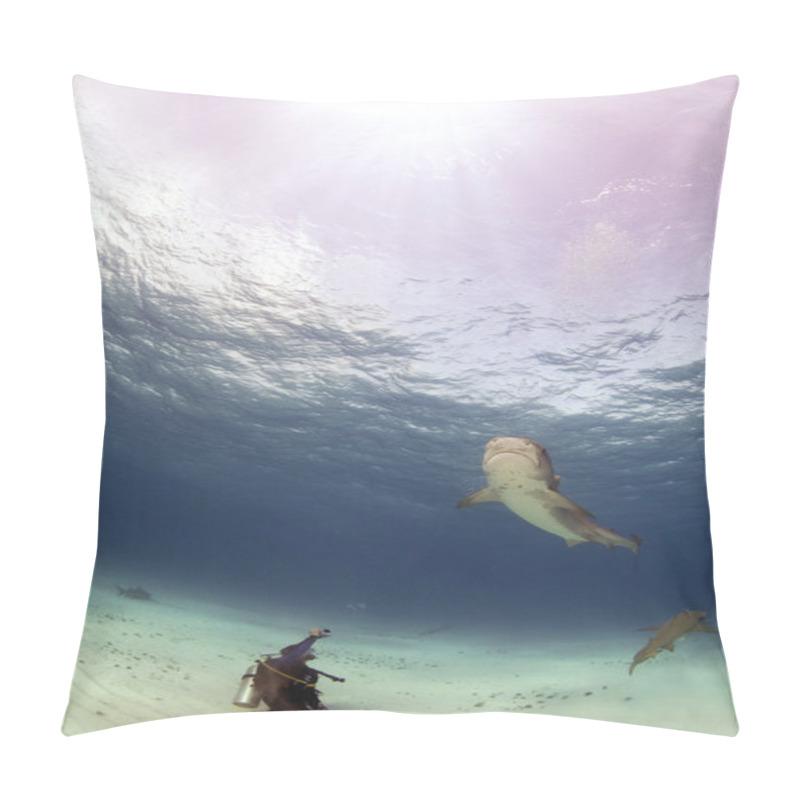 Personality  A Diver Photographs A Tiger Shark From A Safe Distance. Pillow Covers