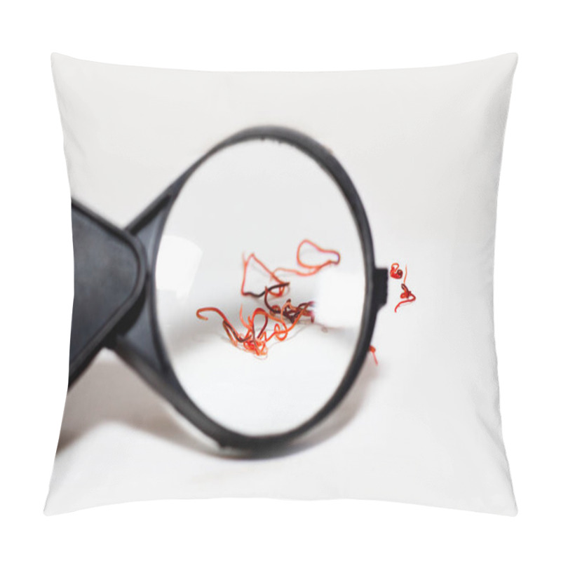 Personality  Red Parasites Worms On A White Background Under The Magnifying Glass. Thin Helminths That Live In Freshwater Pillow Covers