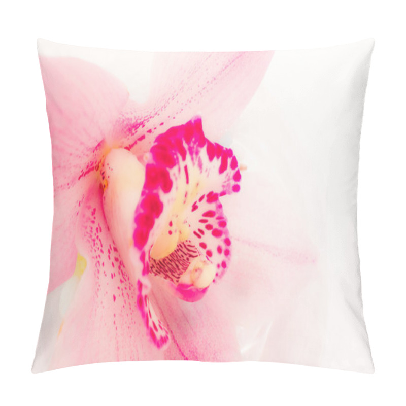 Personality  Pink Orchid Pillow Covers