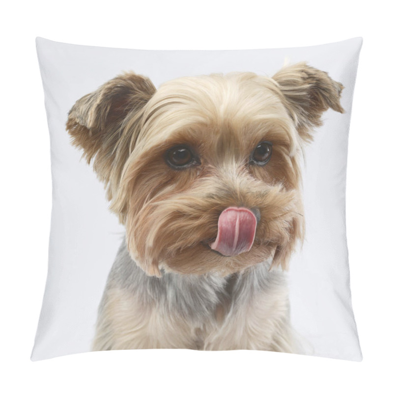 Personality  Portrait Of A Cute Yorkshire Terrier, Studio Shot, Isolated On White. Pillow Covers