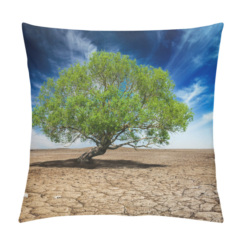 Personality  Lonely Green Tree On Cracked Earth Pillow Covers