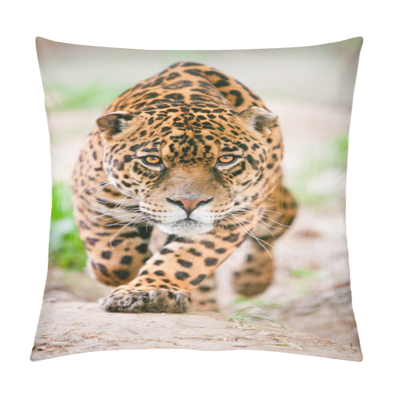 Personality  Aggressive Wild Jaguar Coming To Get You Pillow Covers