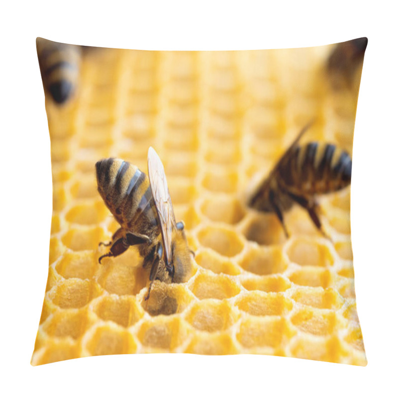 Personality  Macro Photo Of Working Bees On Honeycombs. Beekeeping And Honey Production Image Pillow Covers