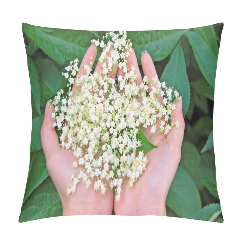 Personality  Elderberry Blossom In Hand Pillow Covers