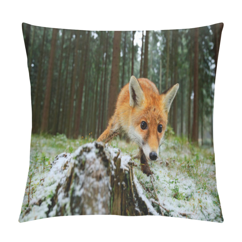 Personality  Red Fox In Forest Pillow Covers